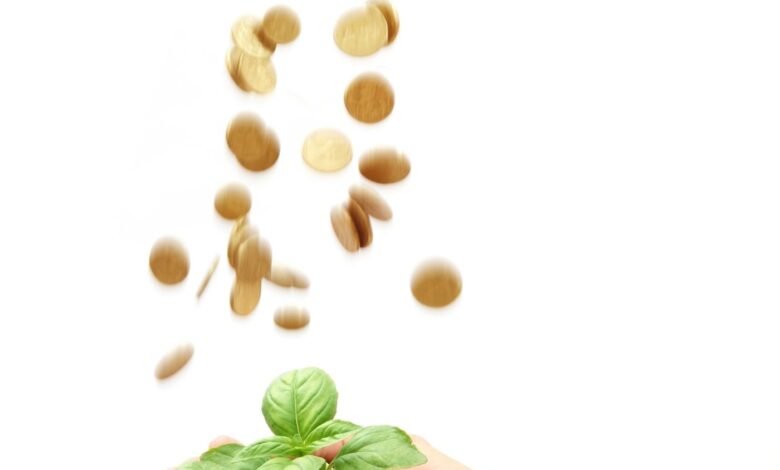 Como Iniciantes podem Investir em Ouro em 2025