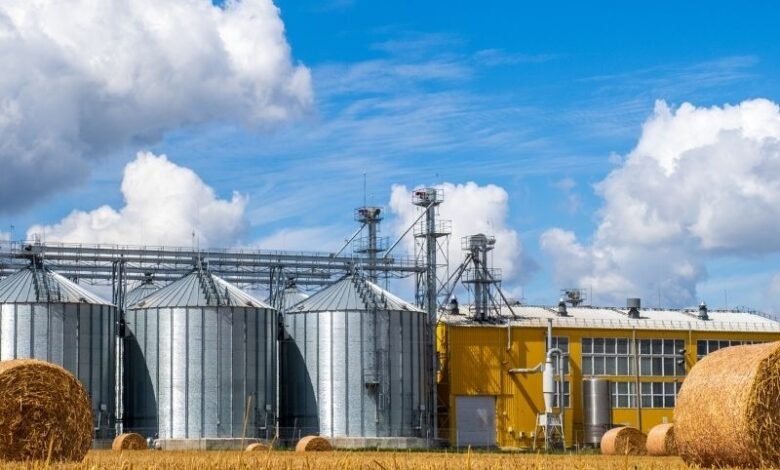 Tudo Que Você Precisa Saber Sobre Commodity