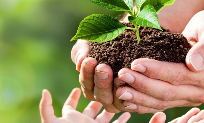 Entenda Tudo Sobre o Banco Mundial