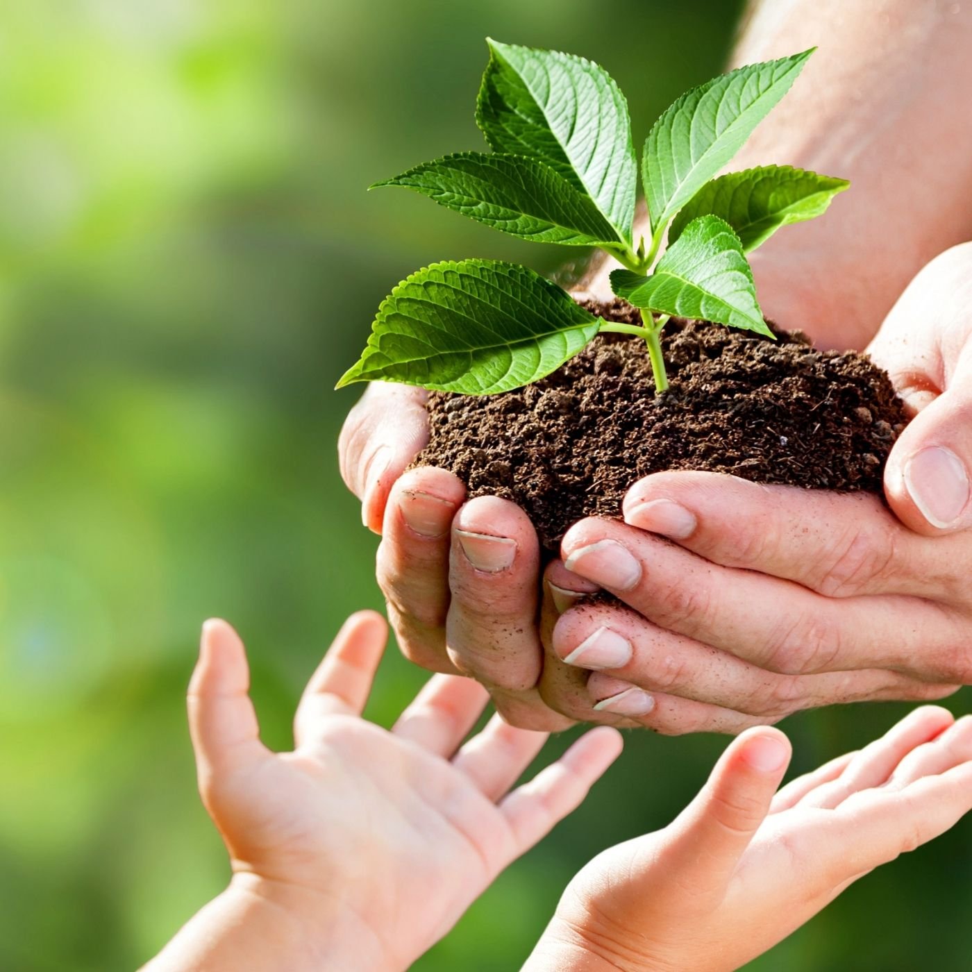 Entenda Tudo Sobre o Banco Mundial