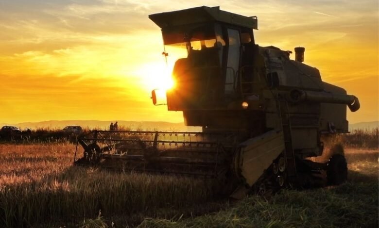 Agronegócio Desconhecido: Como Investir em Culturas Pouco Exploradas