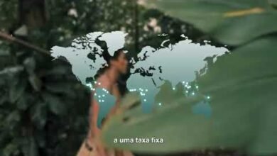 Fundo Florestas Tropicais para Sempre - TFFF