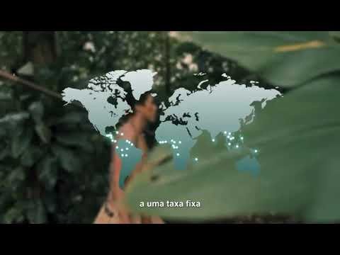 Fundo Florestas Tropicais para Sempre - TFFF