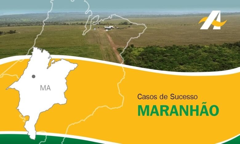 Banco da Amazônia: O Guardião Verde da Economia do Norte e uma Oportunidade Pouco Explorada por Investidores