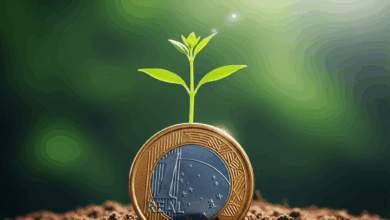 Como 100 Reais Bem Investidos Podem Mudar Sua Vida em 1 Ano